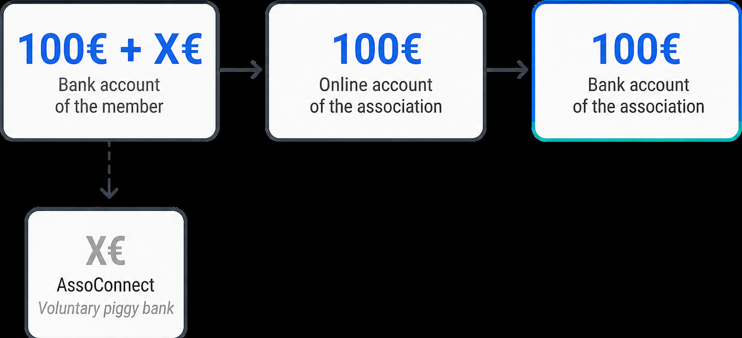 Blog_Article_Images_schema-tips.png