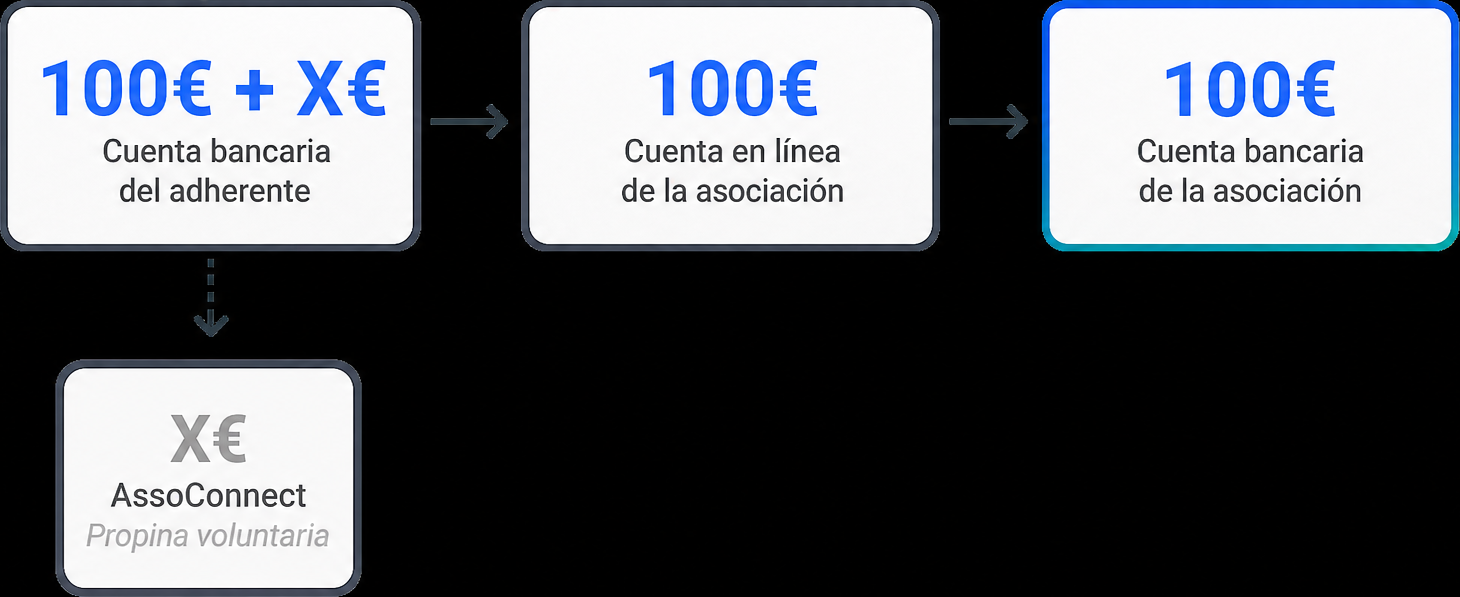Blog_Article_Images_schema-tips.png