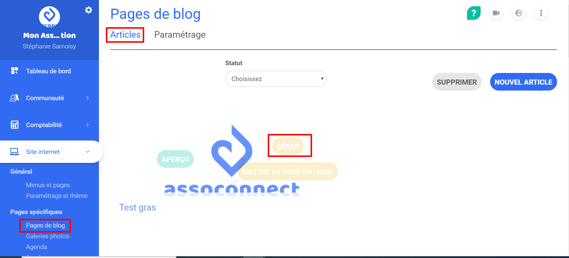 AssoConnect-interface « Blogpagina's » met het tabblad Artikels en de knop Beheren aangeduid met rode kaders