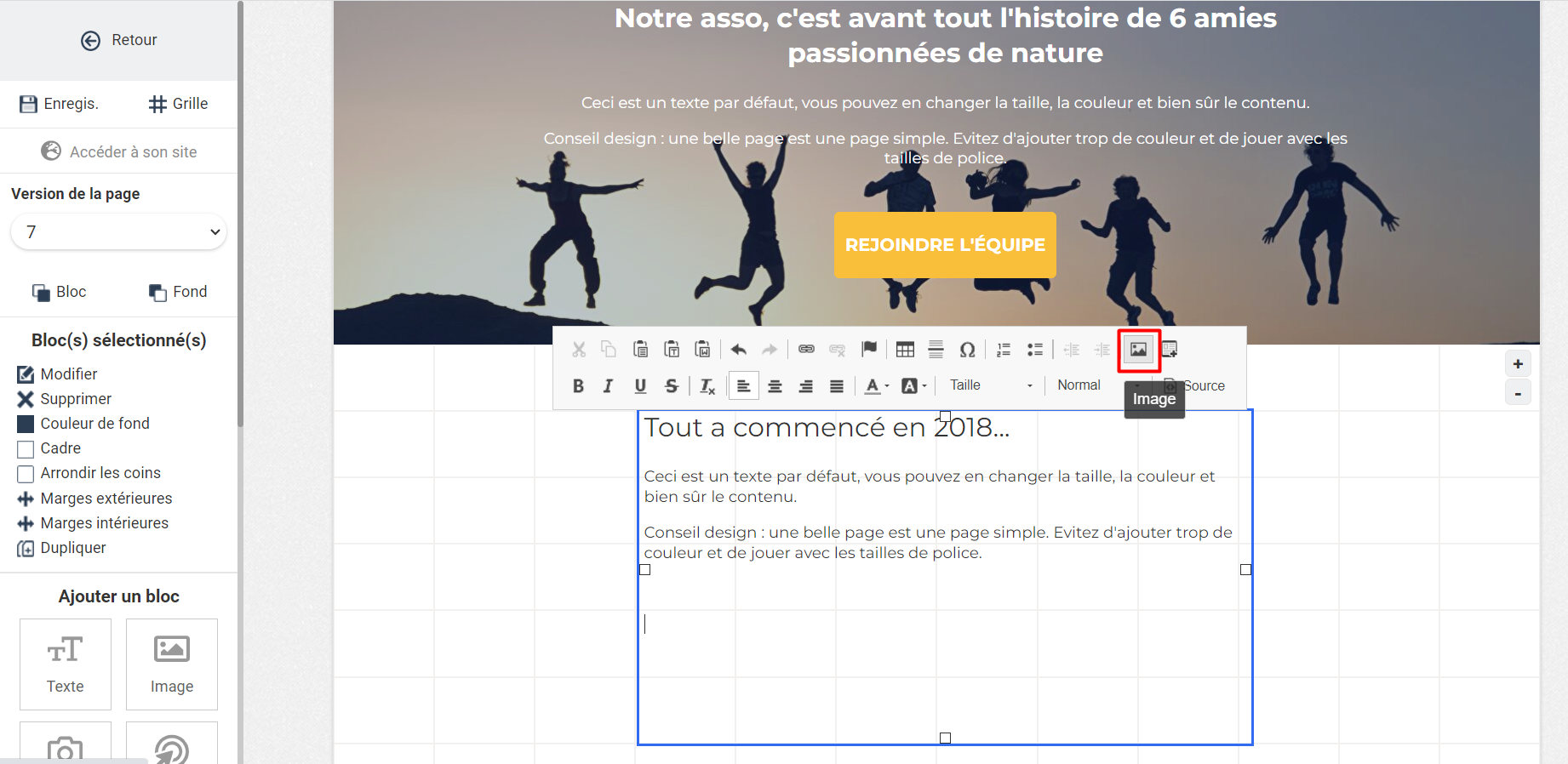 Springly page editor with the 'Image' button highlighted in the toolbar of a selected text block