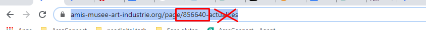 Barra de direcciones de un navegador que muestra la URL de una página web con la parte «actualités» tachada con una cruz roja