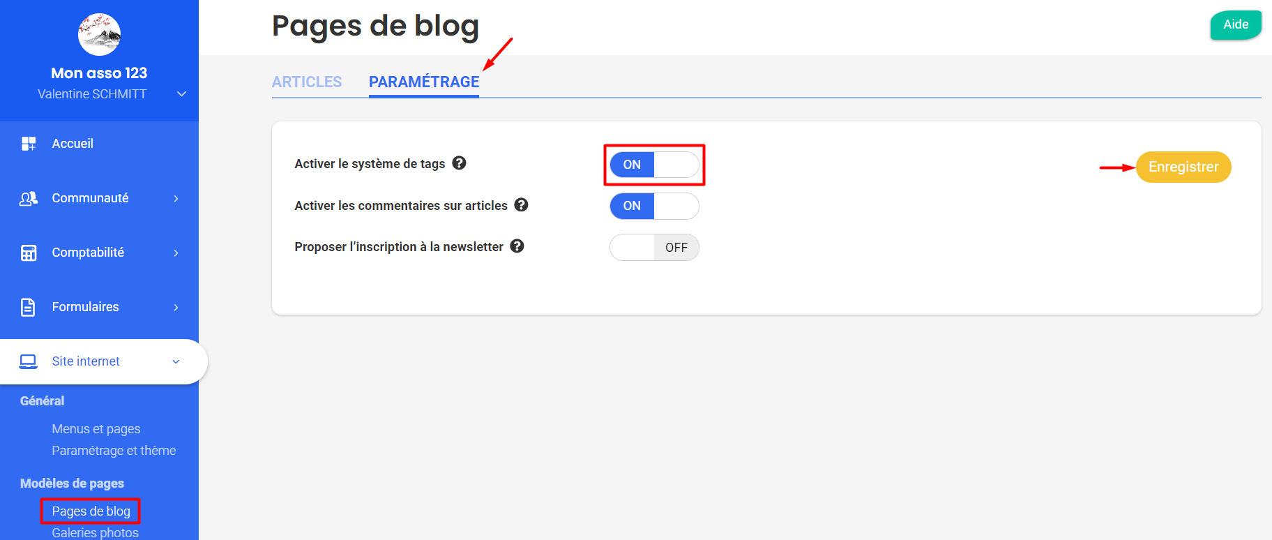 Blog Pages Settings tab, with the tag system enabled (ON) highlighted in red and the Save button emphasized