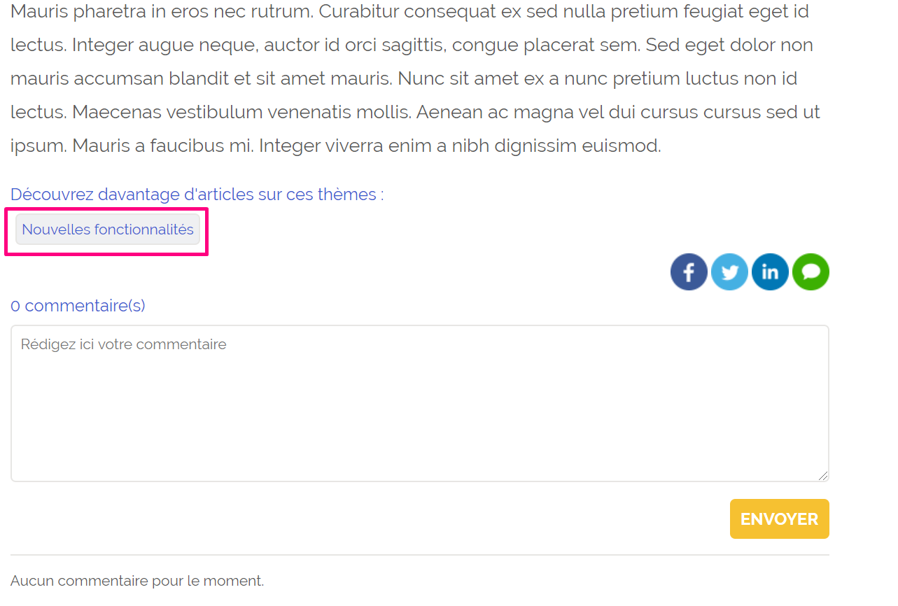 Pie de un artículo con la etiqueta «Nuevas funcionalidades» resaltada, los iconos de compartir en redes sociales y una sección de comentarios vacía