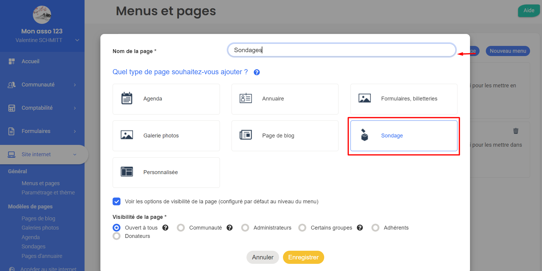Add page window named 'Polls' with the page type 'Poll' selected and highlighted by a red border