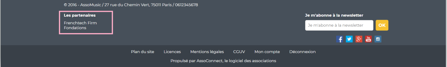 Springly site footer featuring a partners section, a newsletter field, and legal links (Legal Notice, Terms and Conditions, etc.)