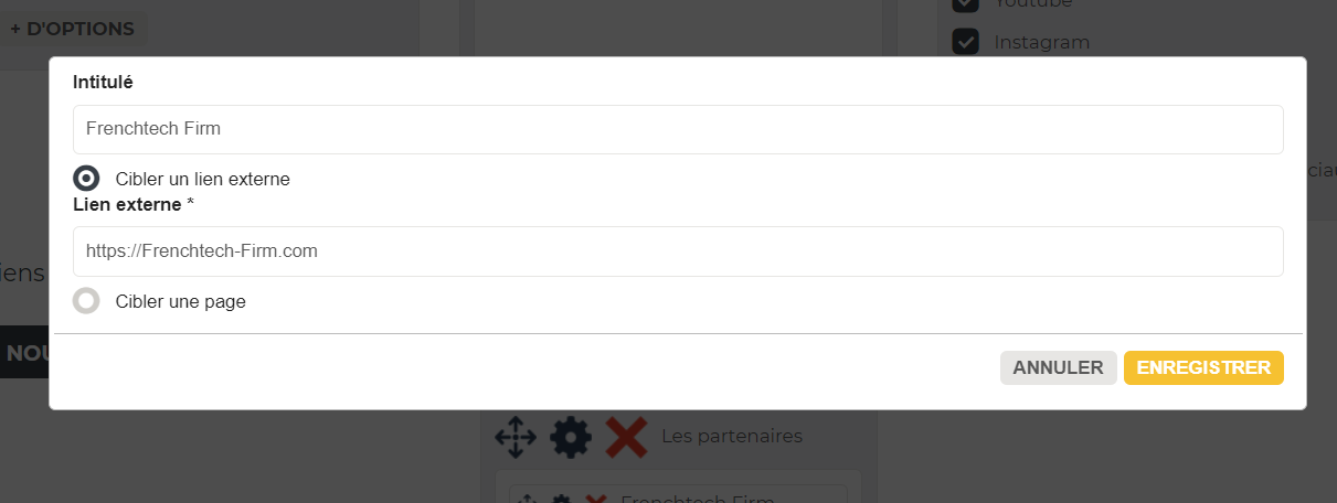 Ventana de creación de un enlace de menú con un título y la opción «Apuntar a un enlace externo» seleccionada