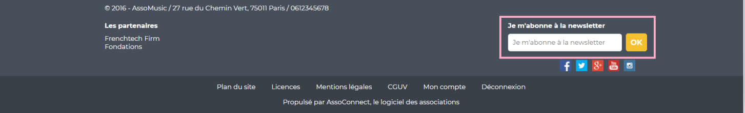 Springly site footer with the newsletter signup area highlighted